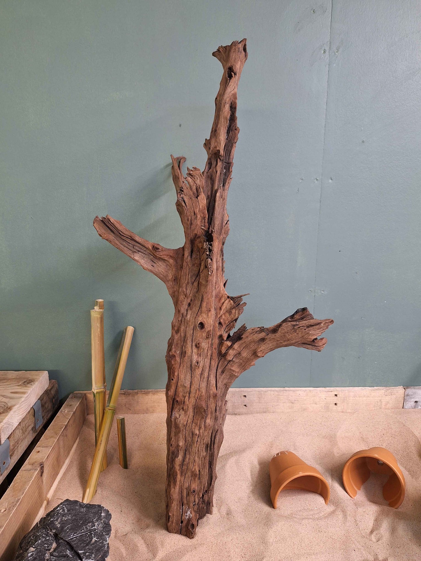 Brown River Wood
