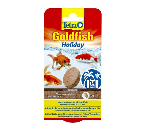 Tetra Goldfish Holiday