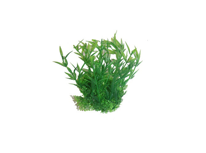 Plastic Artificial Plants