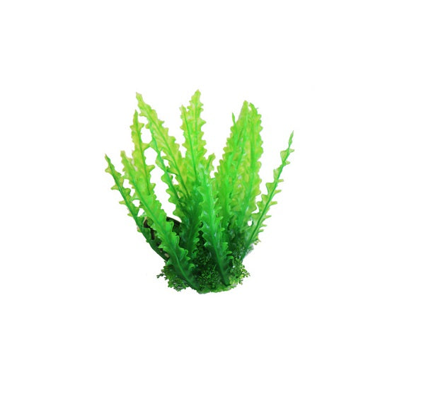 Plastic Artificial Plants