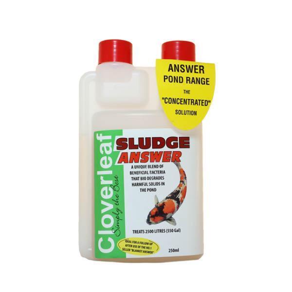 Cloverleaf Sludge Answer