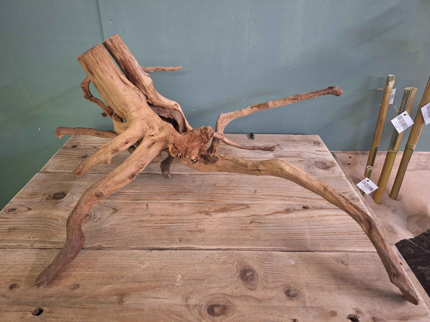 Spider Wood