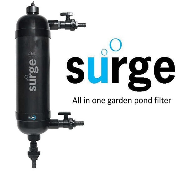 Evolution Aqua Surge Filter + UV