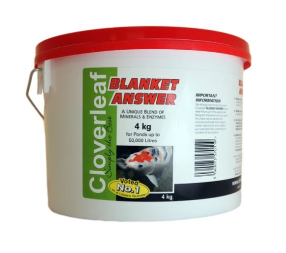 Cloverleaf Blanket Answer