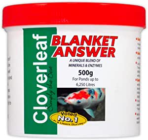 Cloverleaf Blanket Answer