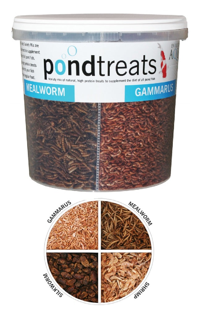 Evolution Aqua Pond Treats