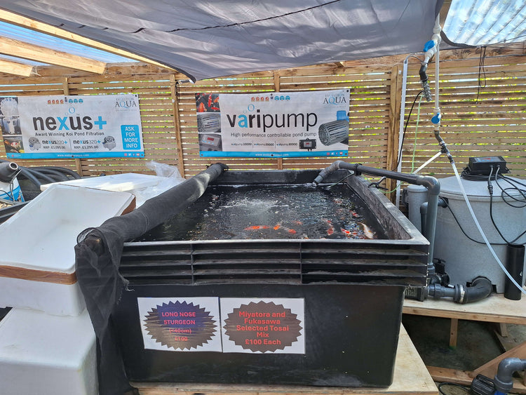 Black 1000 Litre Vat #1