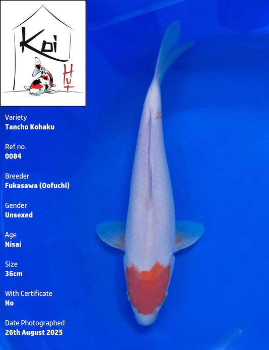 0084 - Tancho Kohaku [Fukasawa]