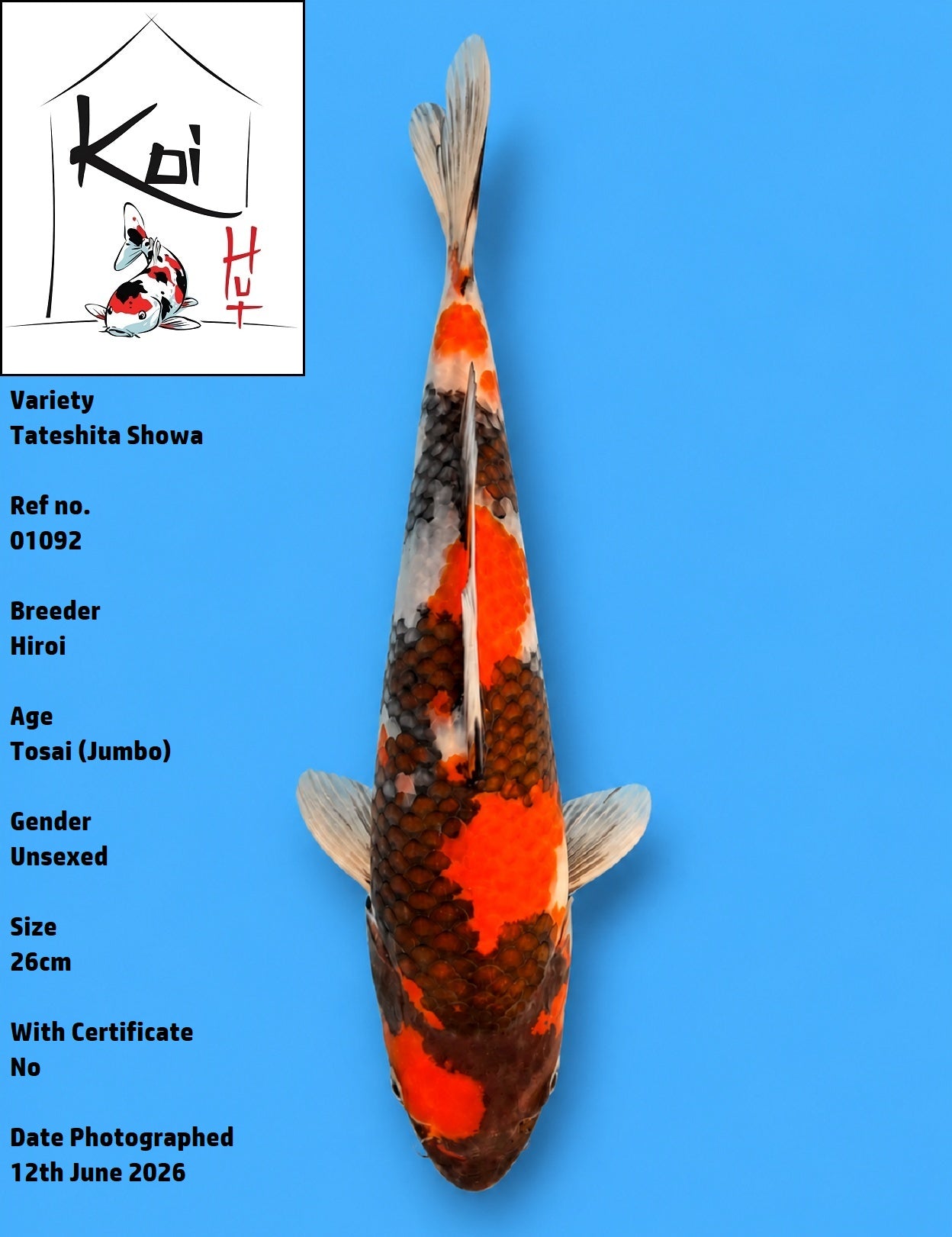 01092 - Tateshita Showa [Hiroi]