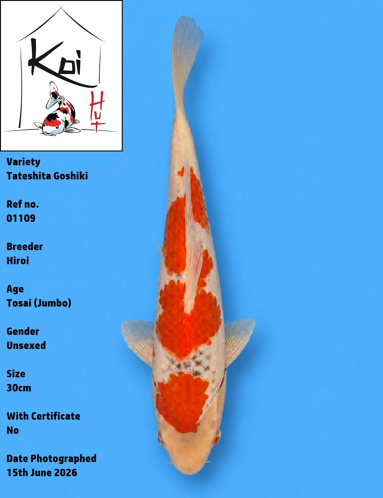 01109 - Tateshita Goshiki [Hiroi]