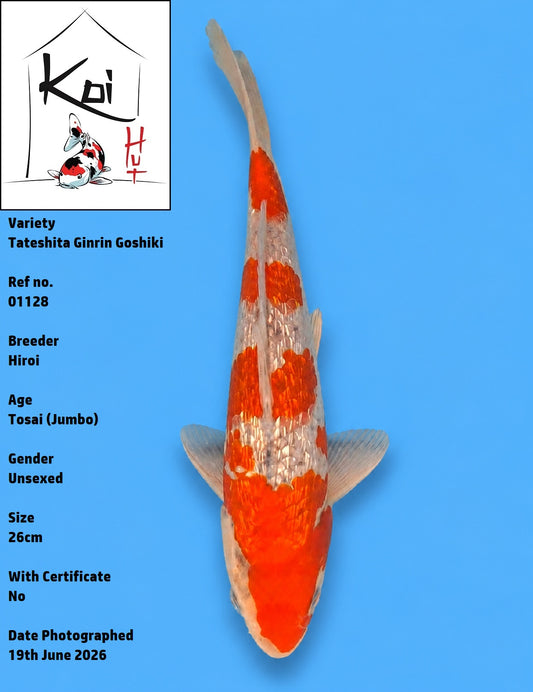 01128 - Tateshita Ginrin Goshiki [Hiroi]