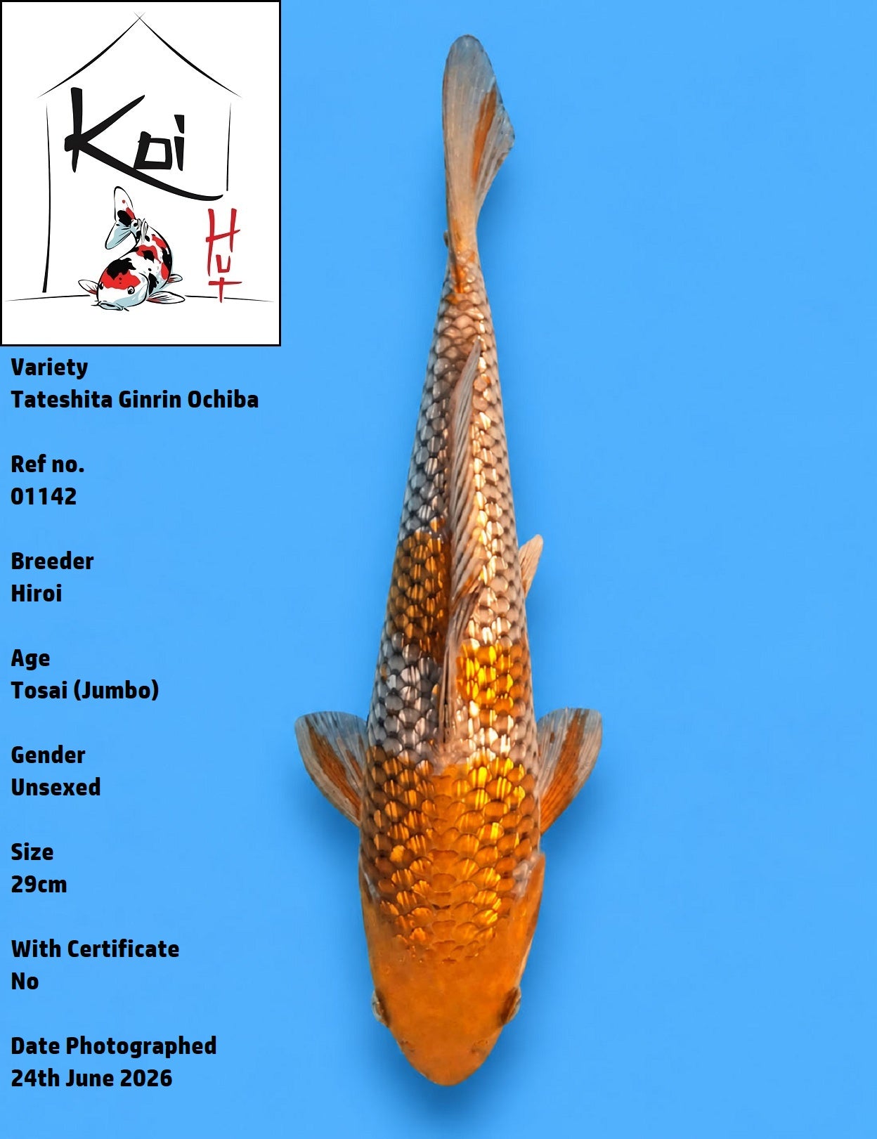 01142 - Tateshita Ginrin Ochiba [Hiroi]