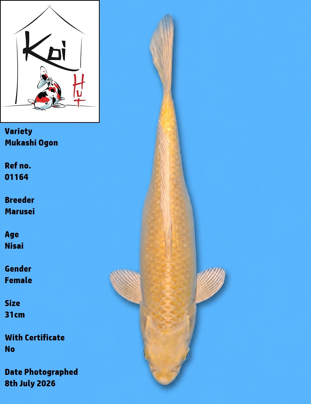 01164 - Mukashi Ogon [Marusei]