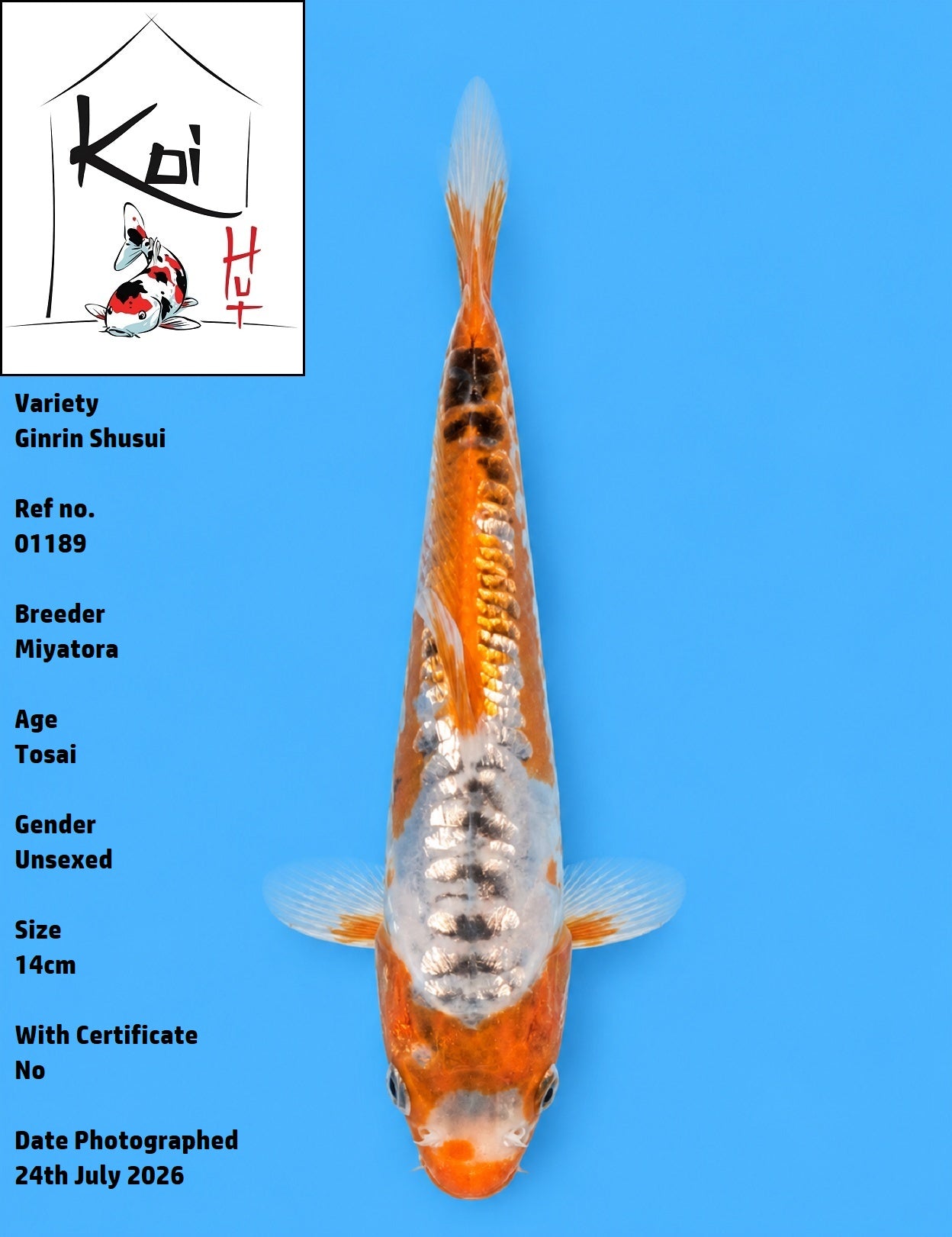 01189 - Ginrin Shusui [Miyatora]
