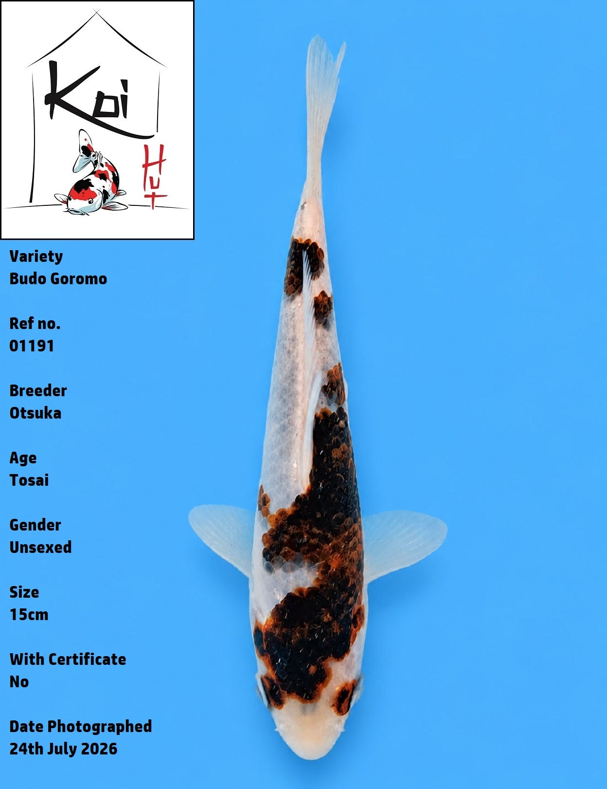 01191 - Budo Goromo [Otsuka]