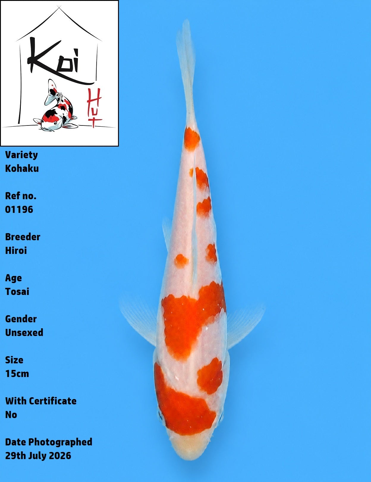 01196 - Kohaku [Hiroi]