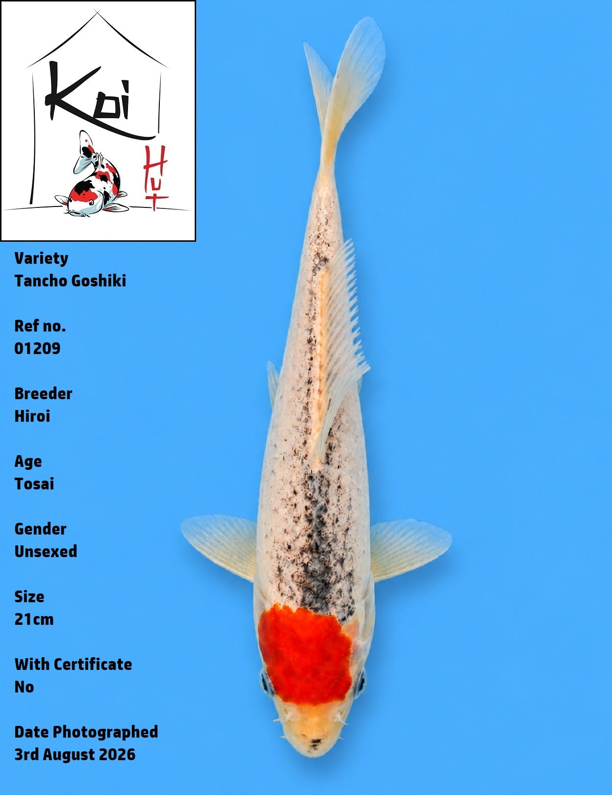 01209 - Tancho Goshiki [Hiroi]