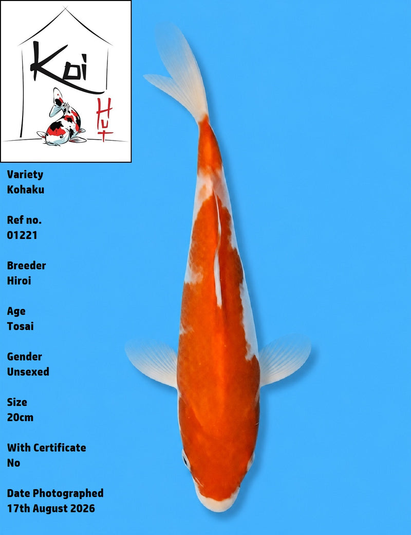 01221 - Kohaku [Hiroi]