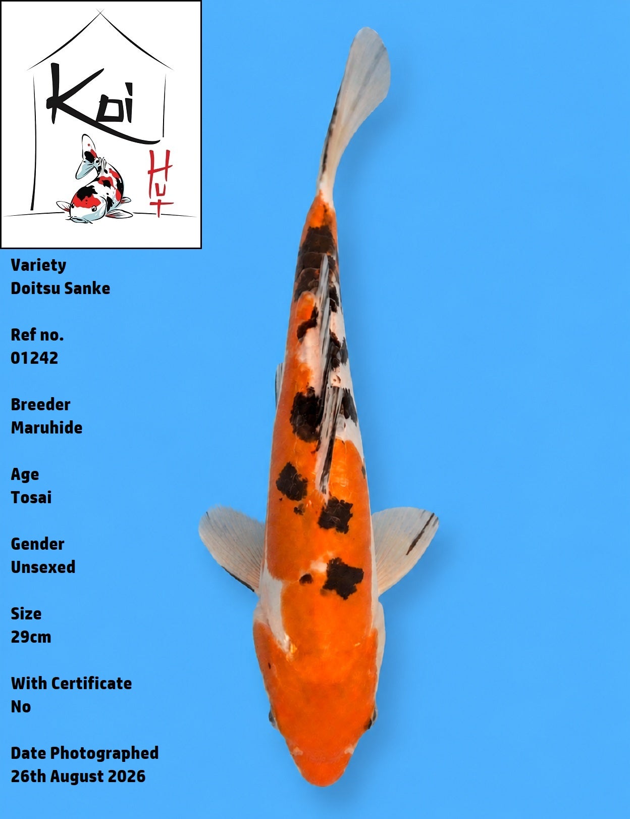 01242 - Doitsu Sanke [Maruhide]