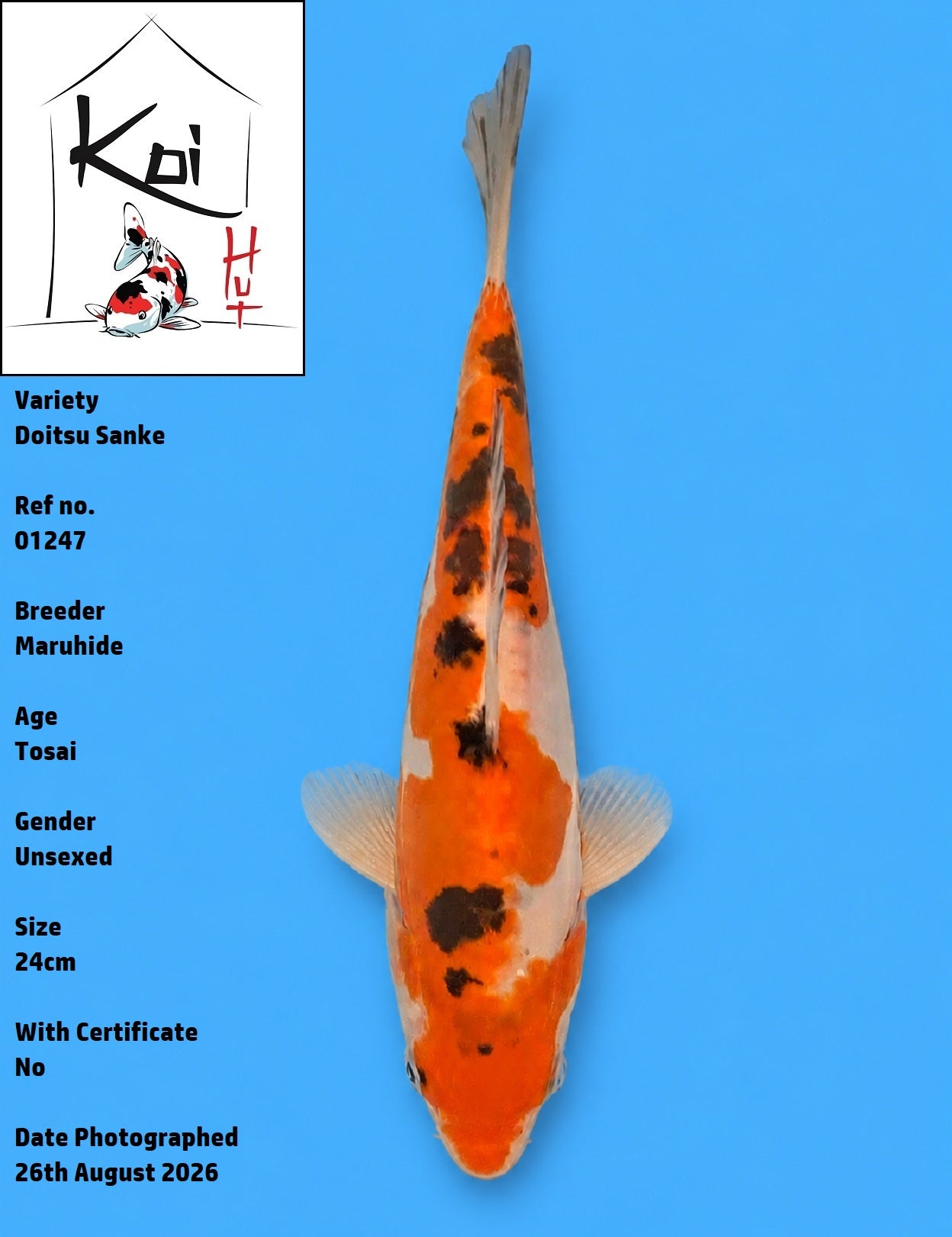 01247 - Doitsu Sanke [Maruhide]