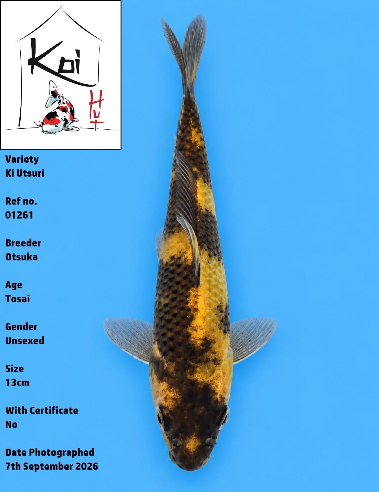01261 - Ki Utsuri [Otsuka]