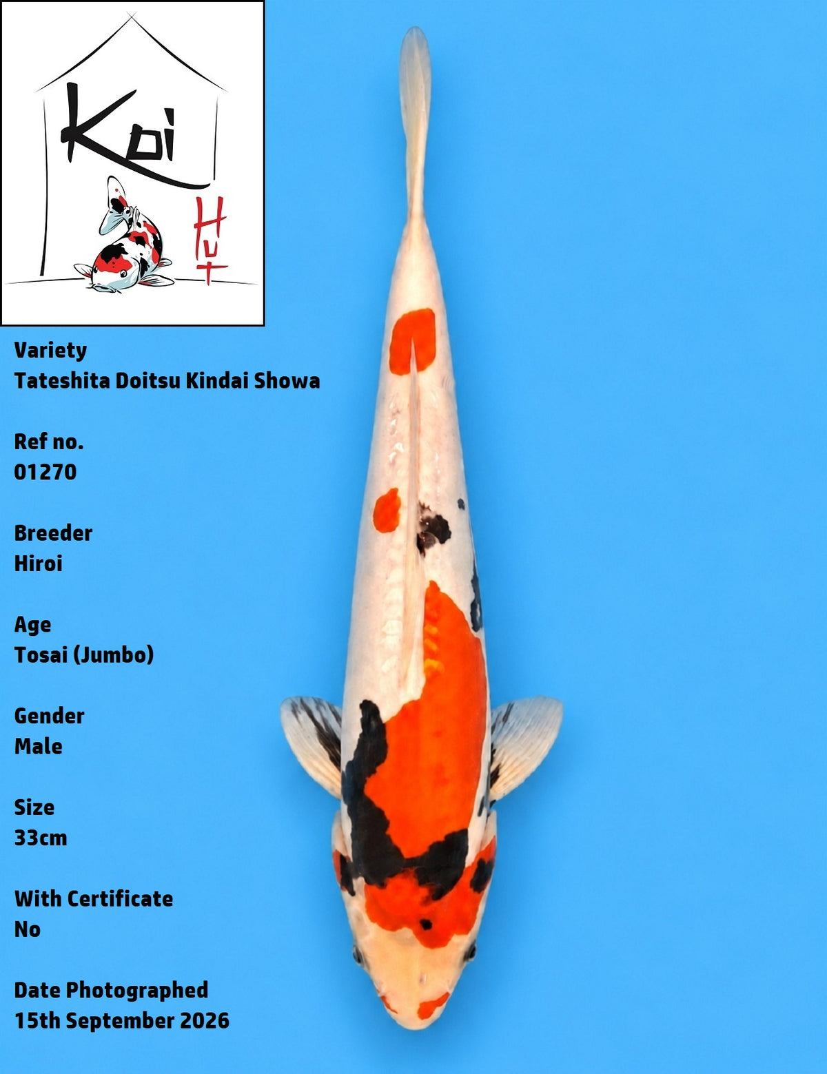 01270 - Tateshita Doitsu Kindai Showa [Hiroi]