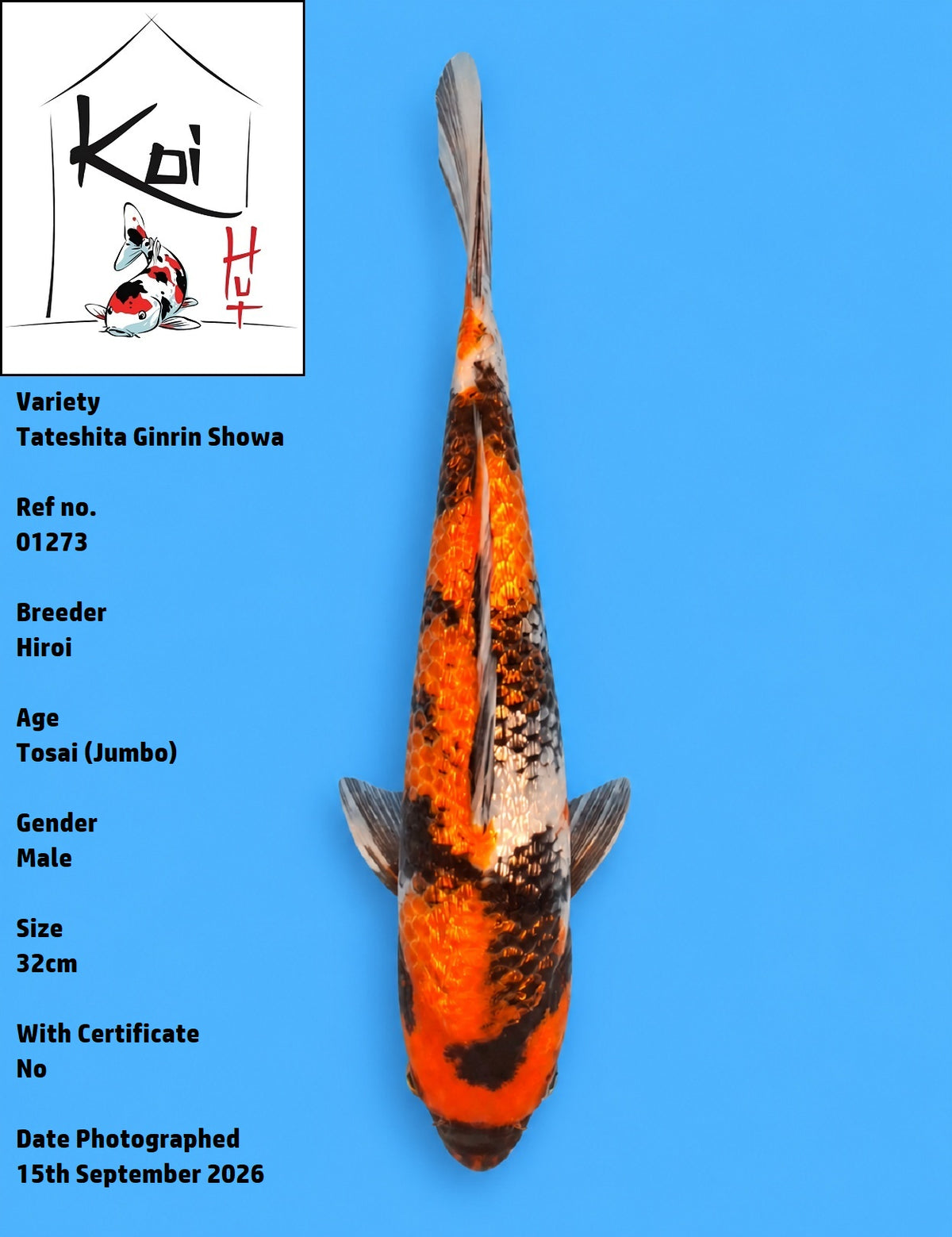01273 - Tateshita Ginrin Showa [Hiroi]