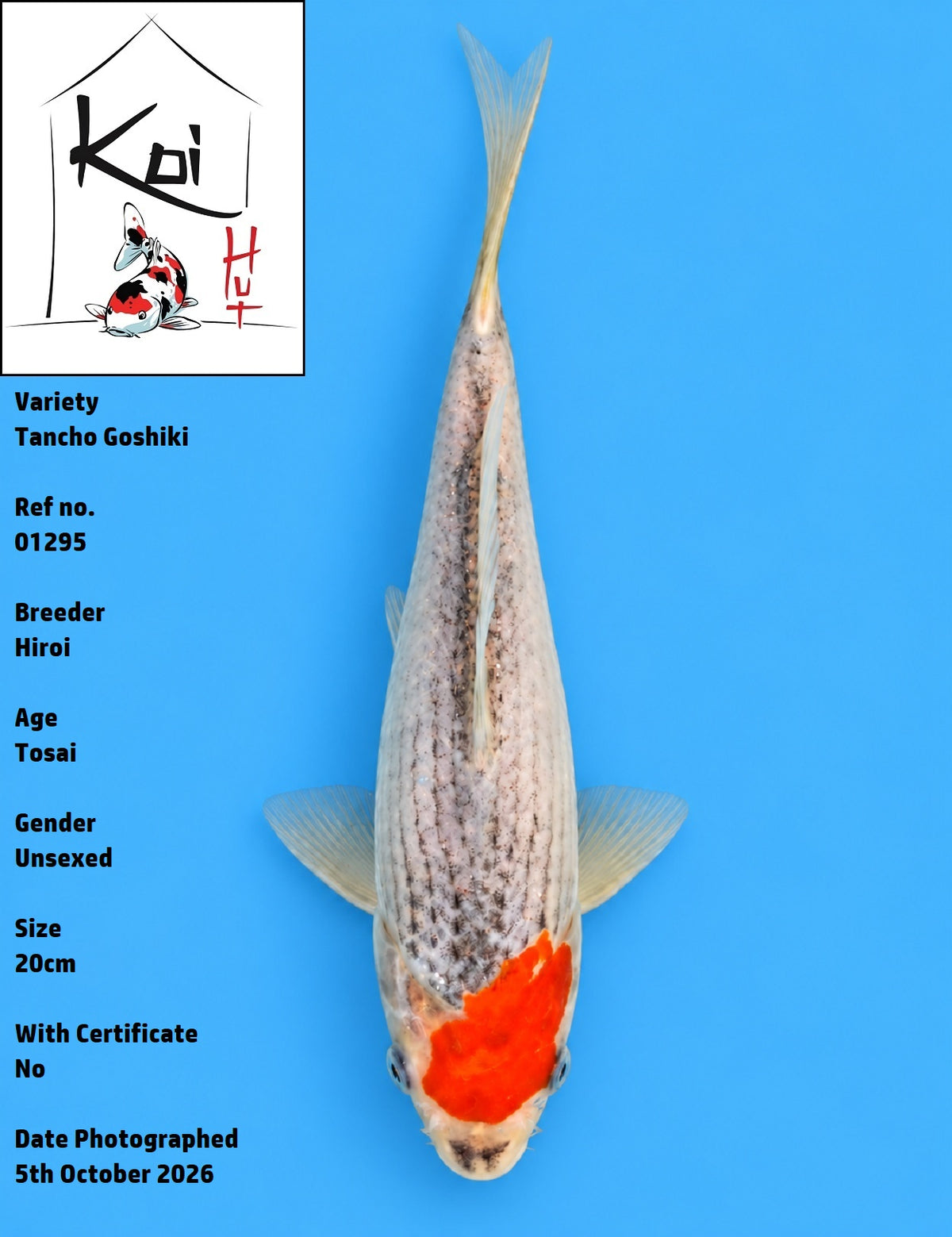 01295 - Tancho Goshiki [Hiroi]