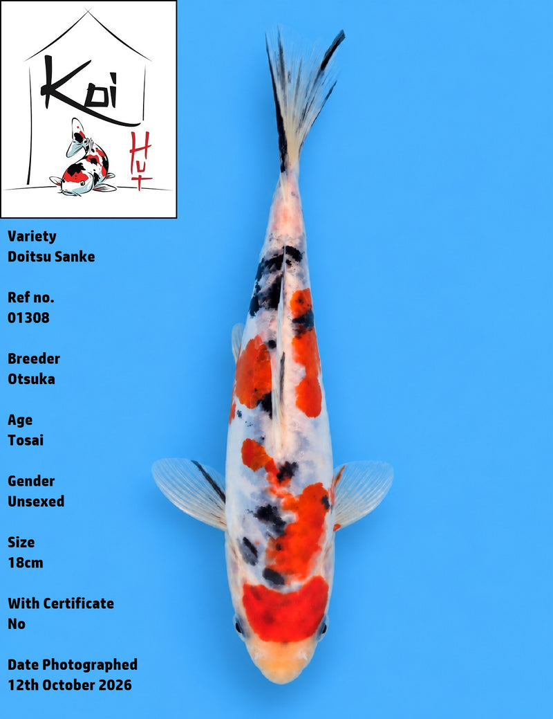 01308 - Doitsu Sanke [Otsuka]