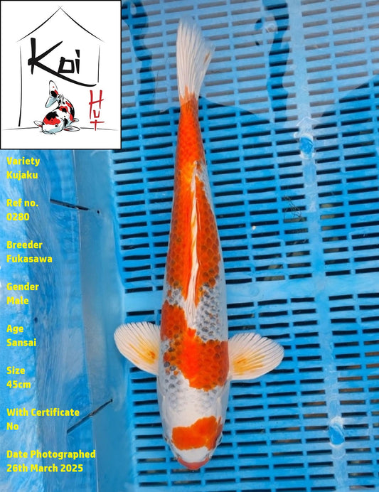 0280 - Kujaku [Fukasawa]
