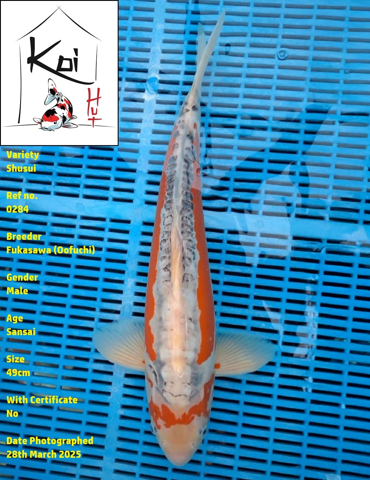 0284 - Shusui [Fukasawa]