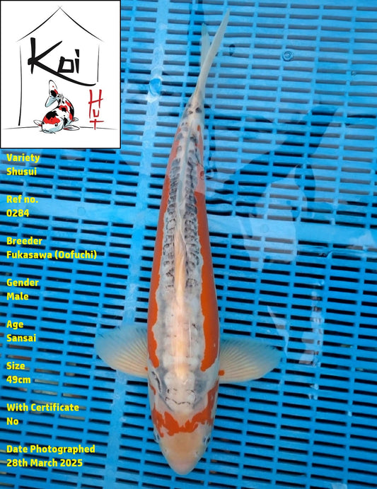 0284 - Shusui [Fukasawa]