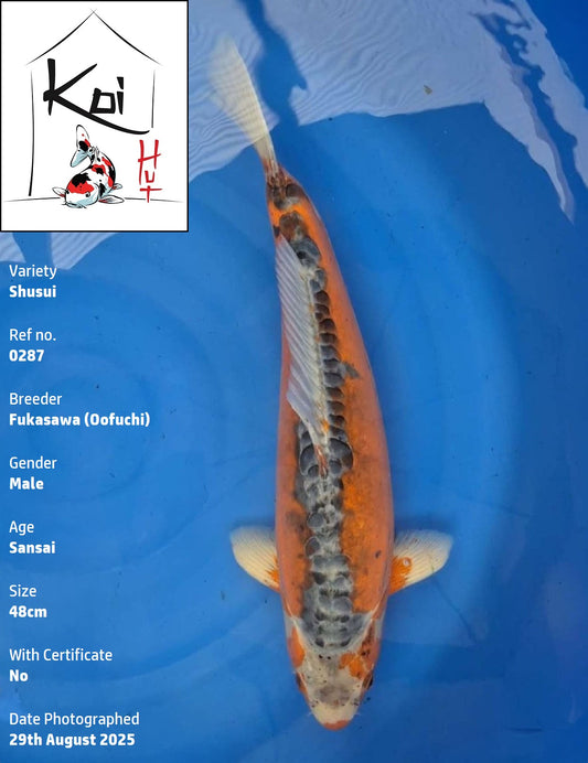 0287 - Shusui [Fukasawa]
