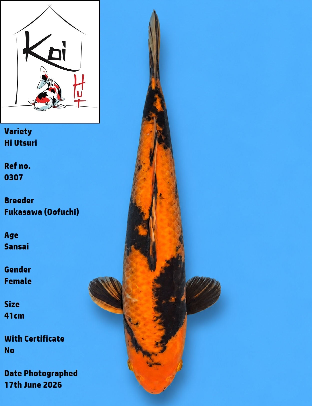 0307 - Hi Utsuri [Fukasawa]