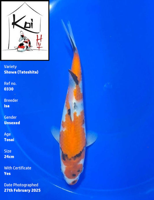 0330 - Tateshita Showa [Isa]