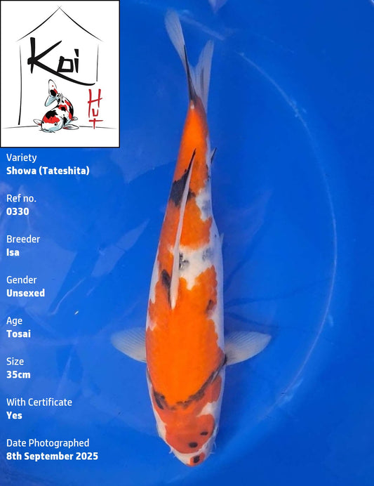 0330 - Tateshita Showa [Isa]