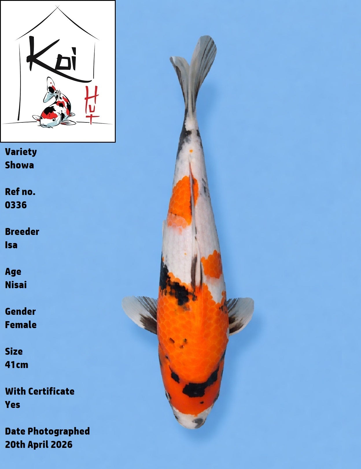 0336 - Showa [Isa]