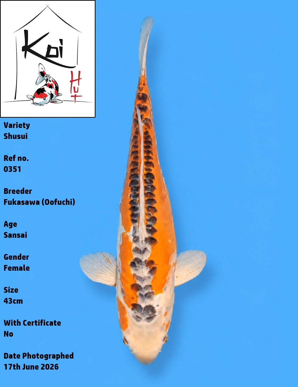 0351 - Shusui [Fukasawa]