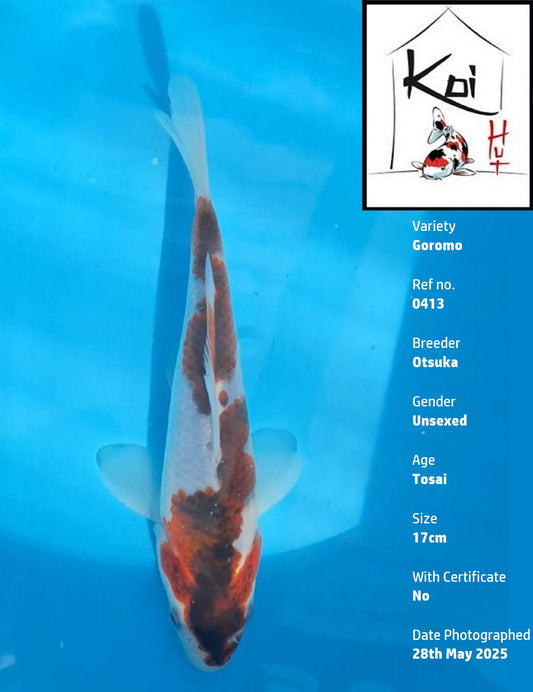 0413 - Goromo [Otsuka]