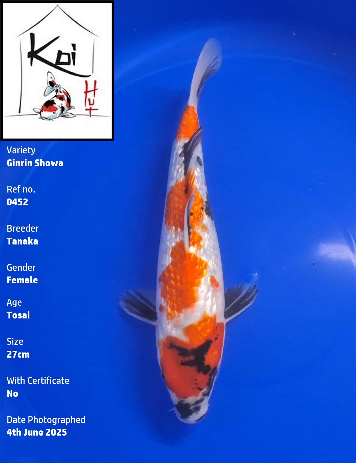 0452 - Ginrin Showa [Tanaka]