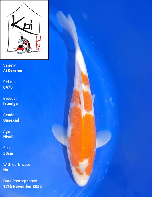 0476 - Ai Goromo [Izumiya]