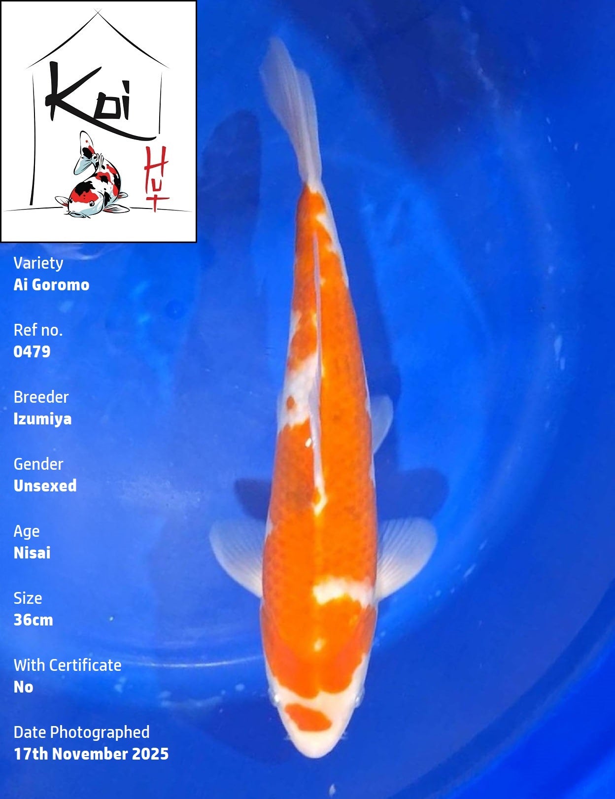 0479 - Ai Goromo [Izumiya]