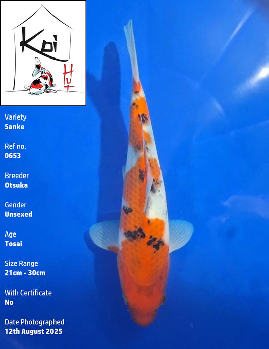 0653 - Sanke [Otsuka]