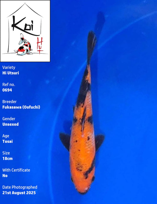 0694 - Hi Utsuri [Fukasawa]