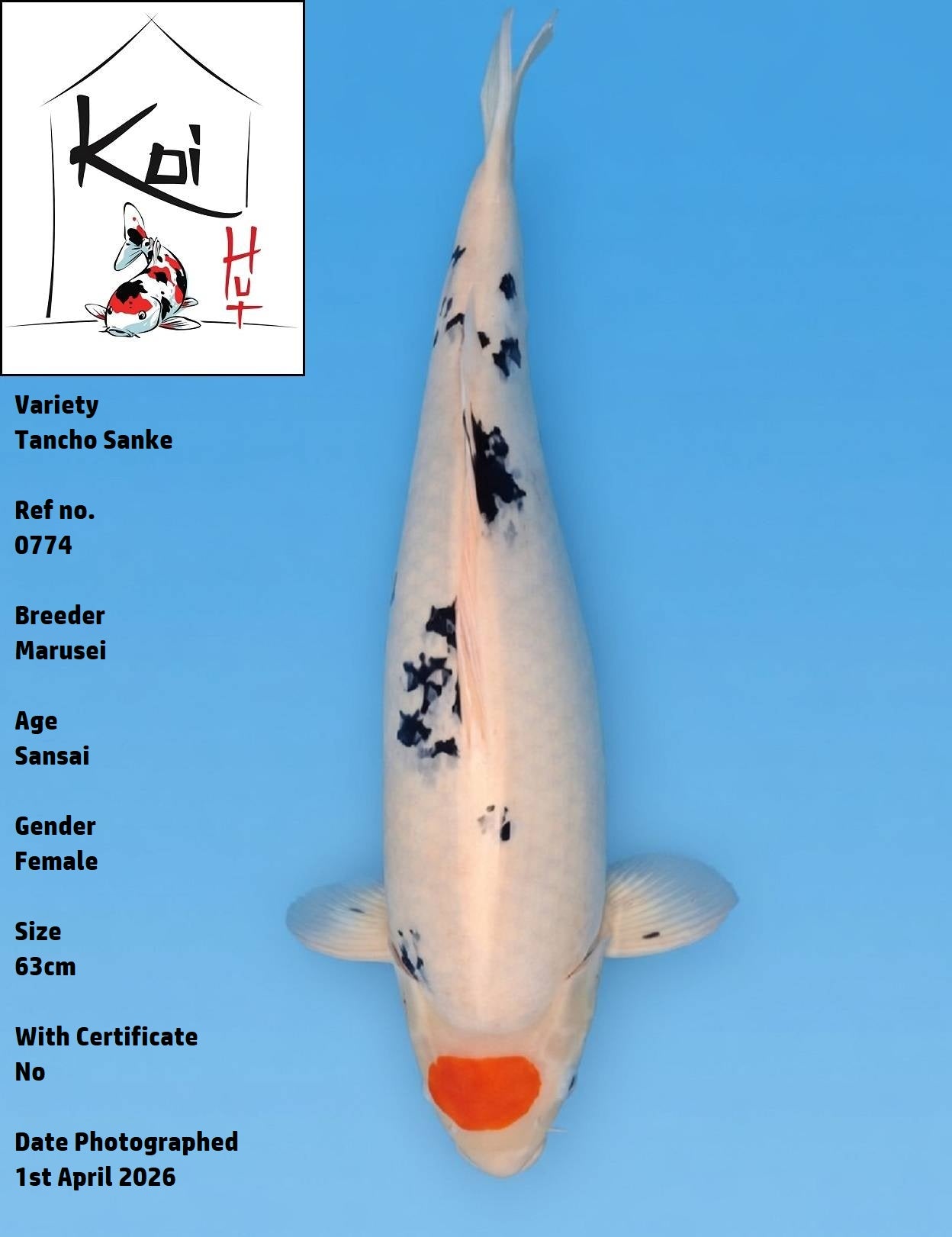 0774 - Tancho Sanke [Marusei]
