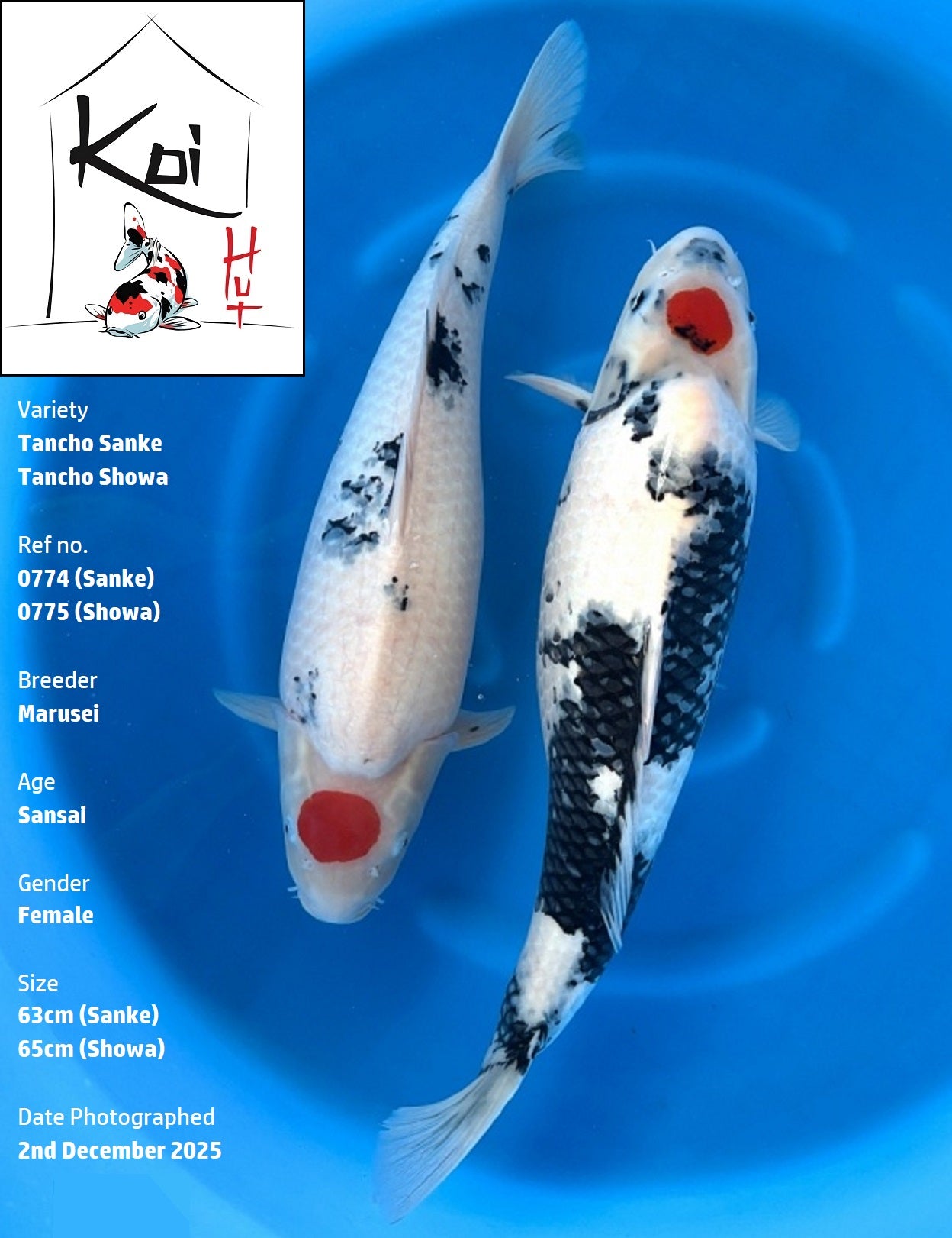 0774 & 0775 - Tancho Sanke & Tancho Showa [Marusei]