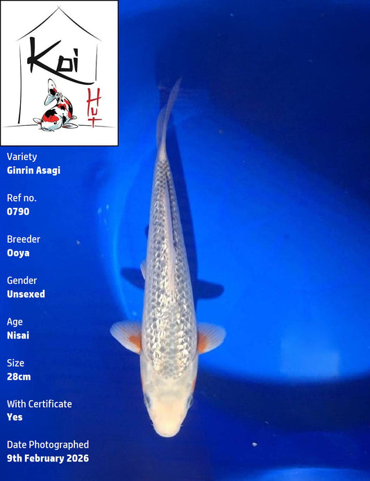 0790 - Ginrin Asagi [Ooya]