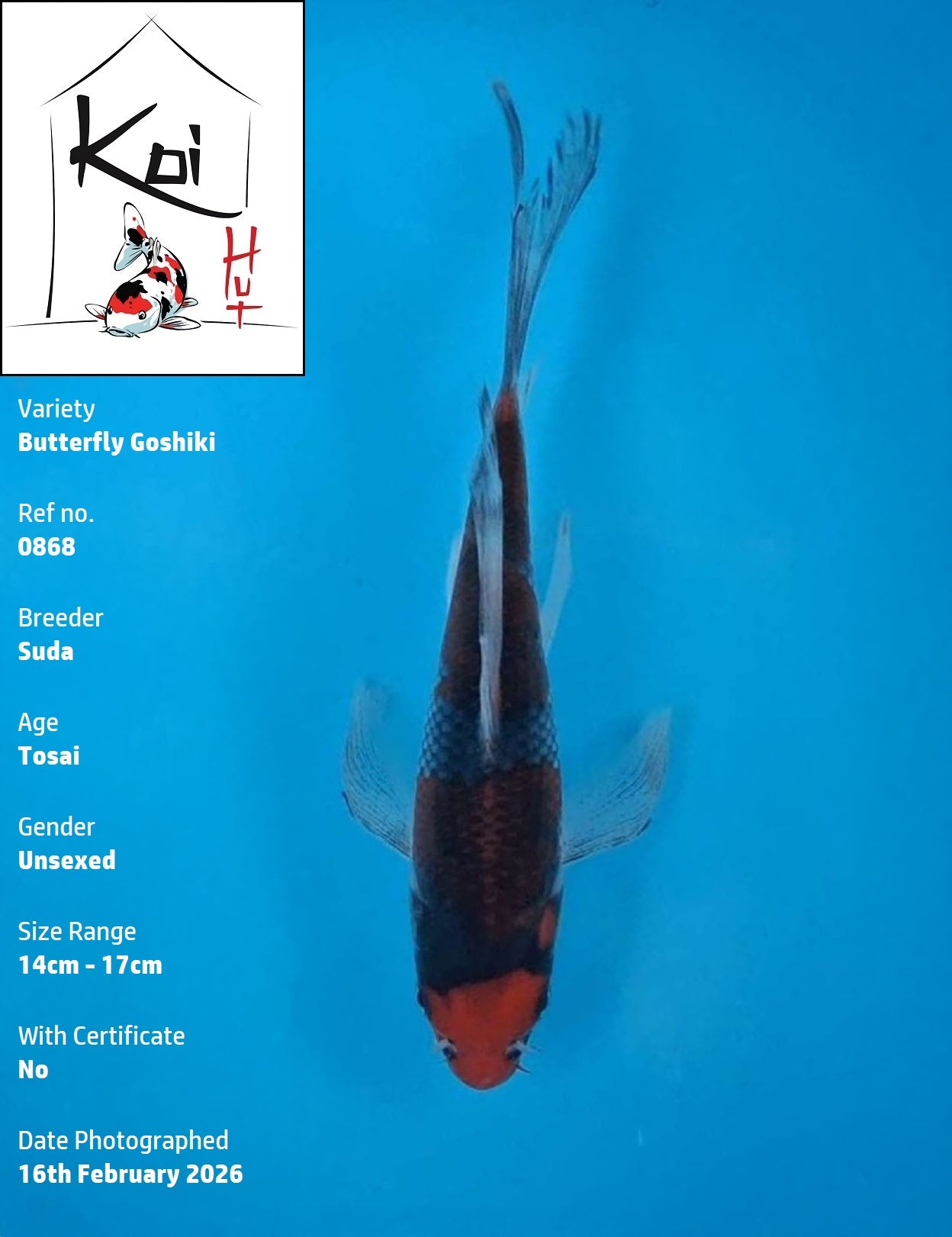 0868 - Butterfly Goshiki [Suda]