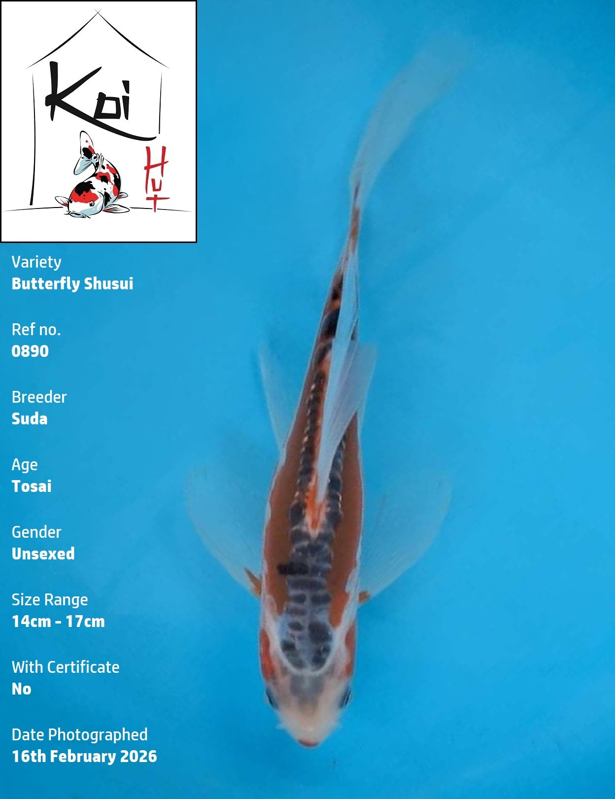 0890 - Butterfly Shusui [Suda]
