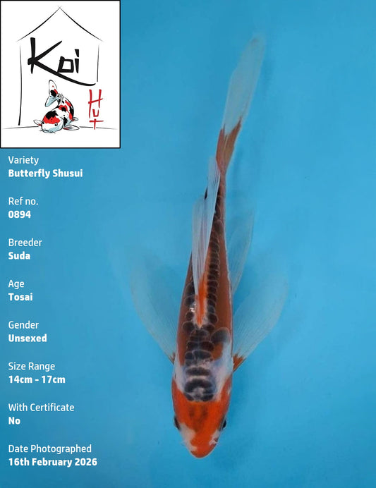 0894 - Butterfly Shusui [Suda]